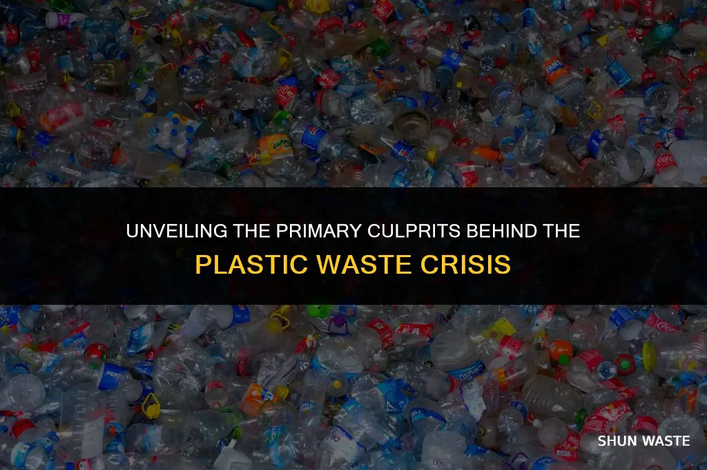 what does the majority of plastic waste come from