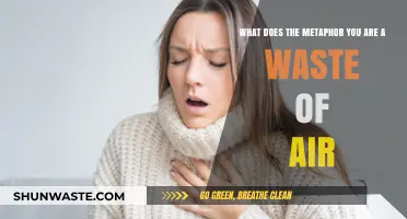 Breathing Futility: Unpacking the Metaphor 'You Are a Waste of Air