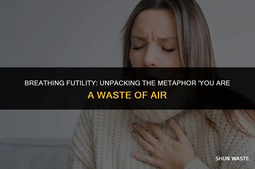 what does the metaphor you are a waste of air