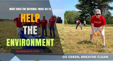 National Trust's Environmental Efforts: Protecting Nature and Preserving Ecosystems