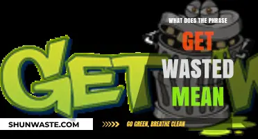 Understanding the Idiom 'Get Wasted': Origins and Modern Usage