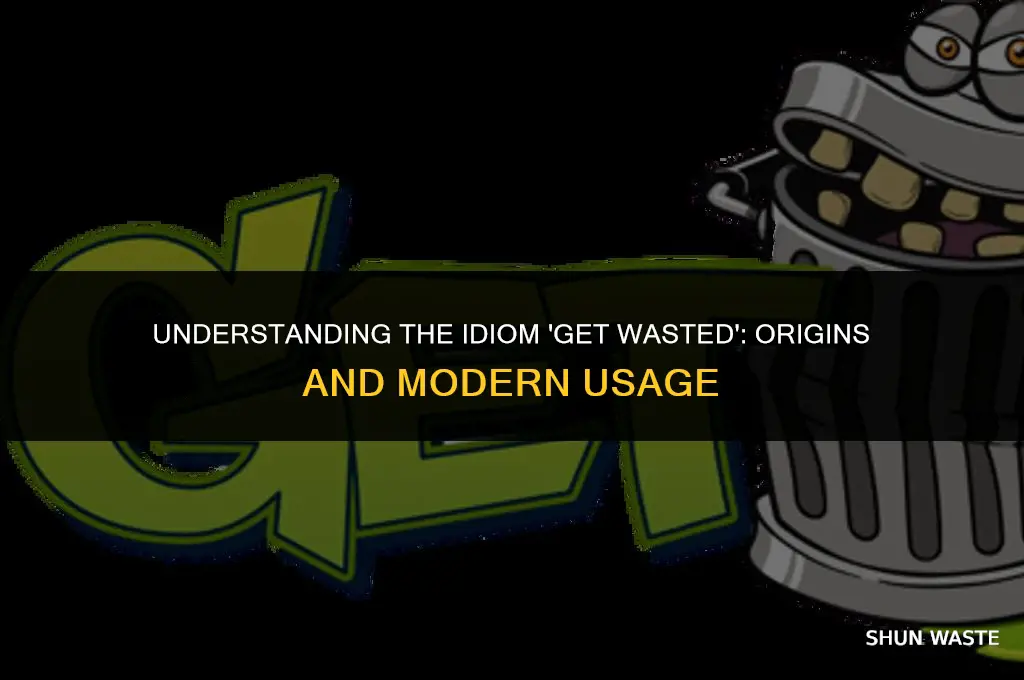 what does the phrase get wasted mean