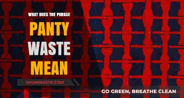 Understanding Slang: What Does 'Panty Waste' Really Mean?