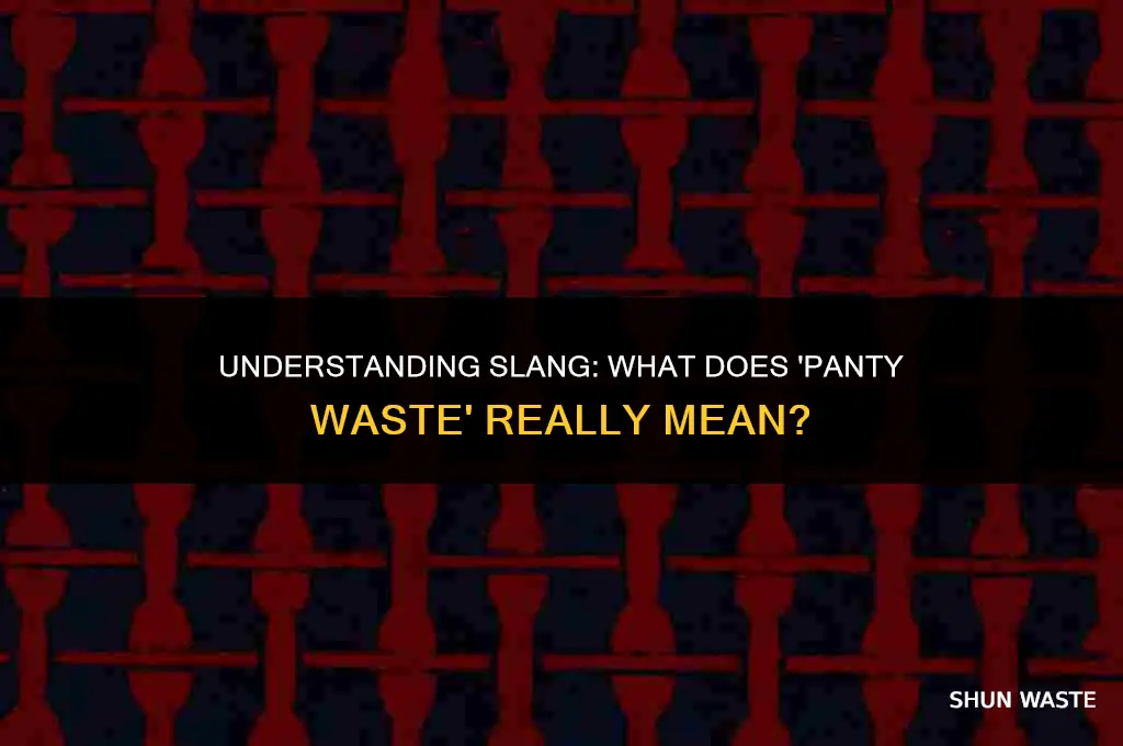 what does the phrase panty waste mean