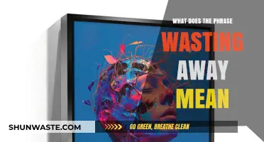 Understanding the Idiom 'Wasting Away': A Comprehensive Guide