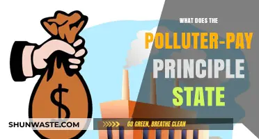Polluter-Pays Principle: Who Pays for Environmental Damage?
