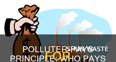 what does the polluter-pays principle state