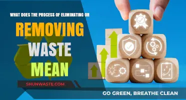 Understanding Waste Elimination: A Comprehensive Guide to Sustainable Practices