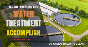 Purifying Progress: The Accomplishments of Wastewater Treatment