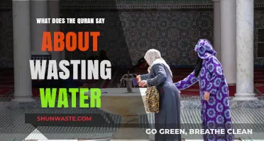 Conserving Water: A Quranic Perspective on Sustainable Usage