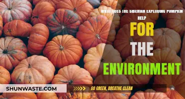 Siberian Exploding Pumpkin: Unveiling Its Surprising Environmental Benefits