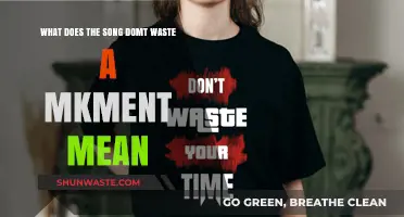 Decoding the Lyrics: What Does 'Don't Waste a Moment' Truly Mean?