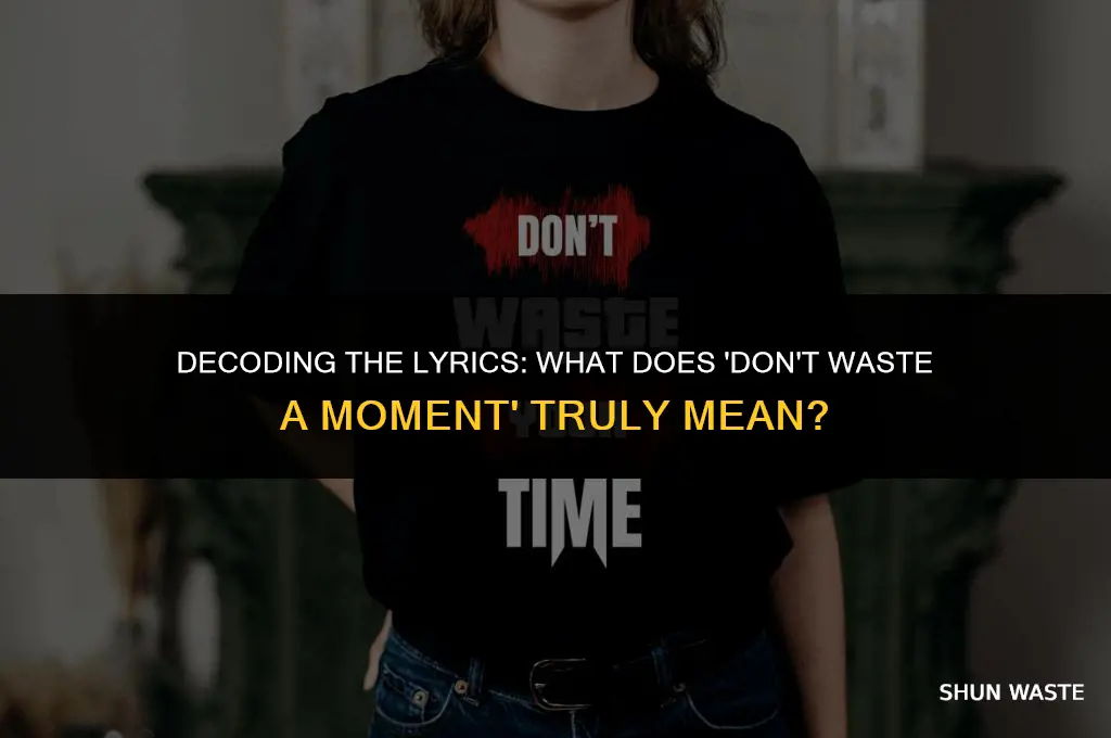 what does the song domt waste a mkment mean