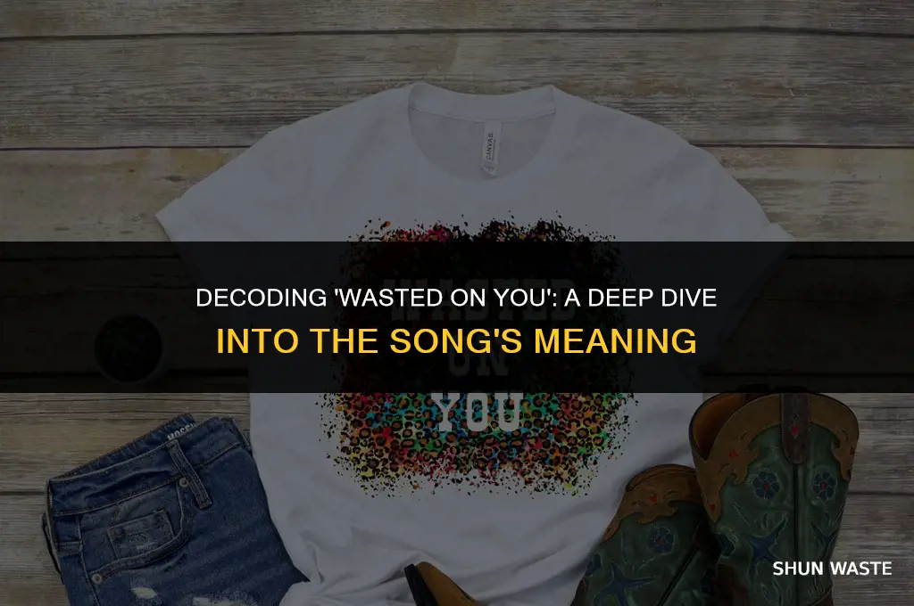 what does the song wasted on you mean