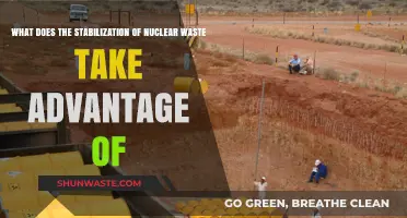 Harnessing Eternity: The Science Behind Nuclear Waste Stabilization