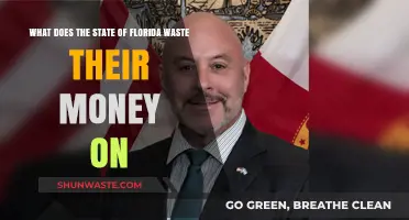 Florida's Fiscal Follies: Uncovering Wasteful Spending in the Sunshine State