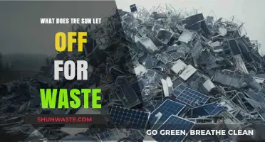 Solar Waste: Unveiling the Sun's Surprising Byproducts