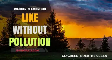 A Sunrise Unveiled: Nature's Beauty Without Pollution
