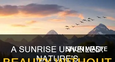 what does the sunrise look like without pollution