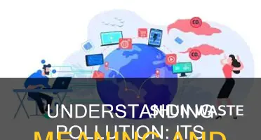 what does the term pollution mean
