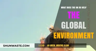 How the UN Champions Global Environmental Protection and Sustainability