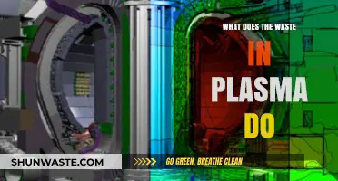 Decoding Plasma's Secrets: The Journey of Waste in Fusion Energy