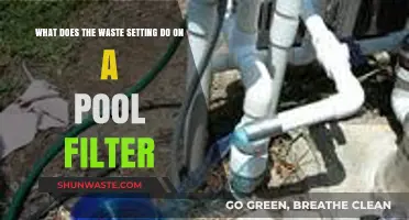Understanding Your Pool Filter: The Essential Role of the Waste Setting