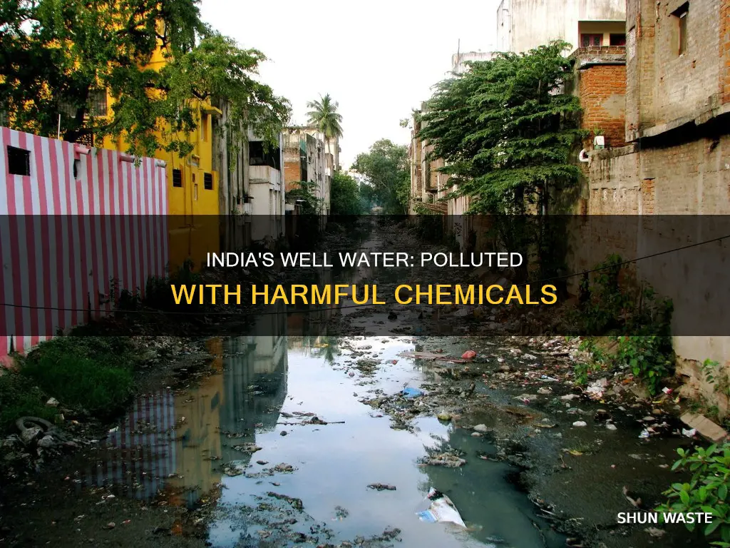 what does the well water in india is polluted with