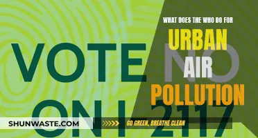 WHO's Fight Against Urban Air Pollution
