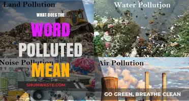 Understanding Pollution: What Does Polluted Mean?
