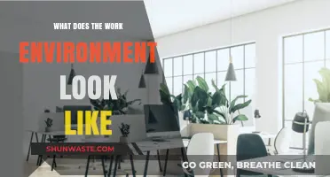 Exploring the Dynamics of a Modern Work Environment