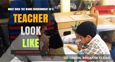 Exploring the Dynamic Work Environment of a Modern Teacher