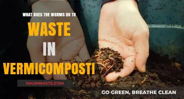 How Worms Transform Waste into Nutrient-Rich Compost in Vermicomposting