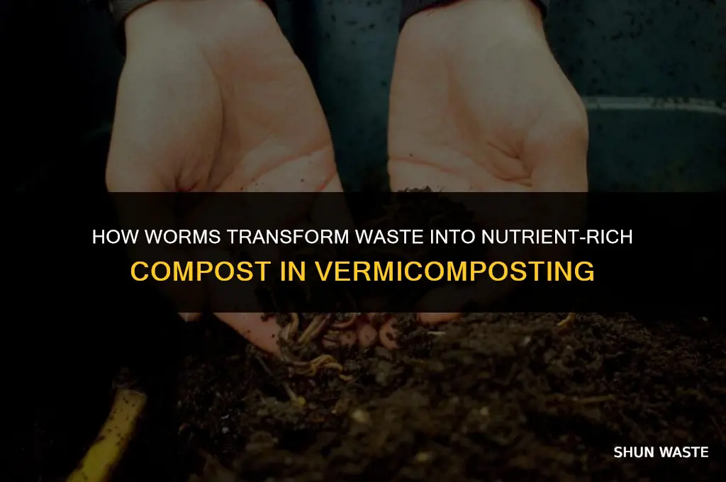 what does the worms do to waste in vermicomposting