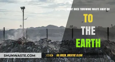 The Hidden Impact: How Our Trash Affects the Planet