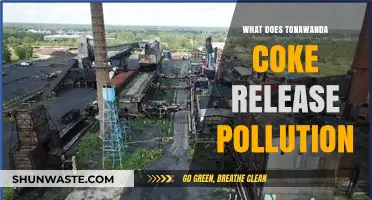 Tonawanda Coke's Pollution: A Public Health Crisis