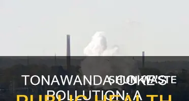 what does tonawanda coke release pollution