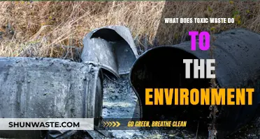 The Devastating Impact of Toxic Waste on Our Environment