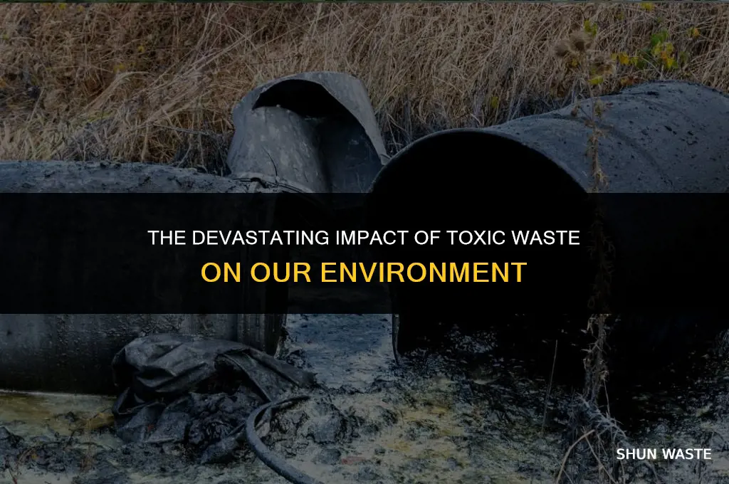 what does toxic waste do to the environment