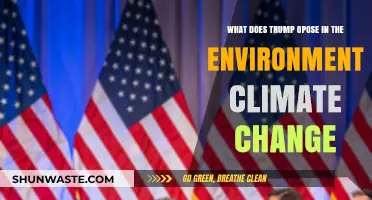Trump's Environmental Stance: Opposing Climate Change Policies and Initiatives