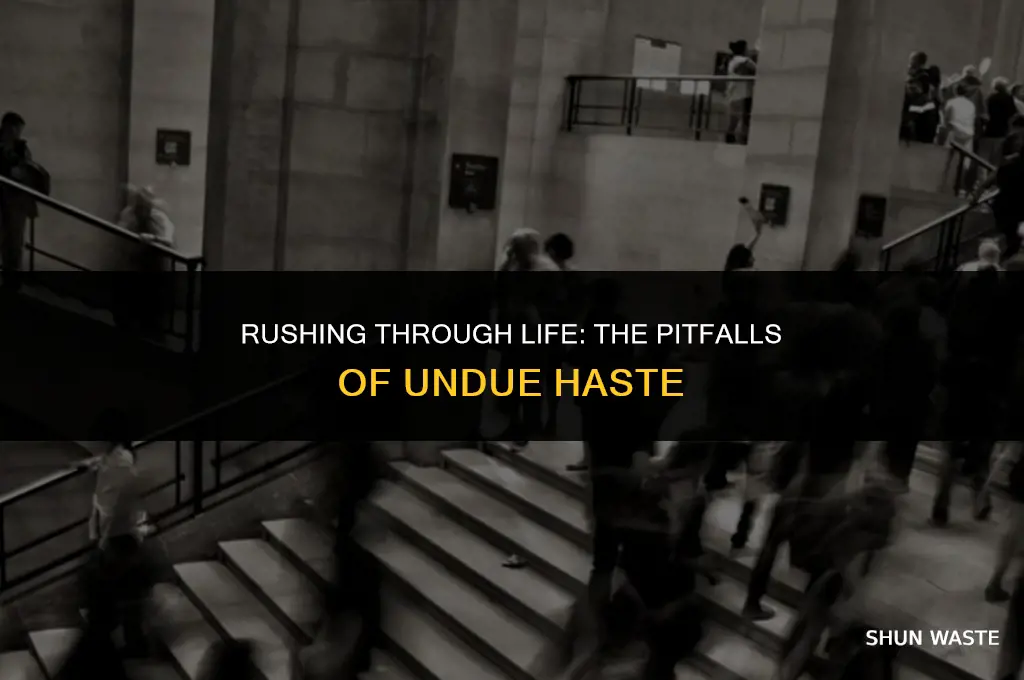 what does undue haste makes waste mean