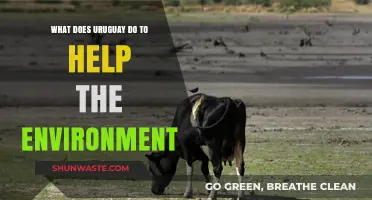 Uruguay's Green Initiatives: Sustainable Practices Protecting Our Planet
