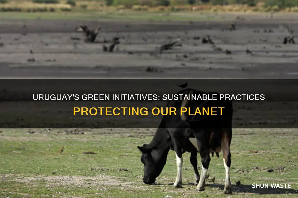 what does uruguay do to help the environment