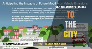 Vehicle Pollution: A City's Slow Poison