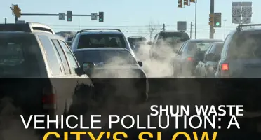 what does vehicle pollution do to the city