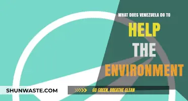 Venezuela's Green Initiatives: Environmental Efforts and Sustainable Practices Explored
