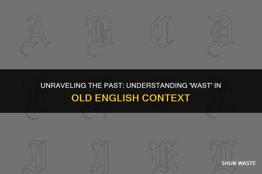 what does wast mean in old english