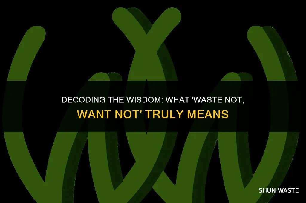 what does wast not want not mean