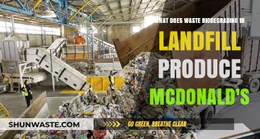 Unveiling the Environmental Impact: McDonald's Waste Biodegradation in Landfills