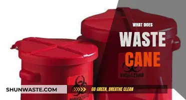 Unveiling the Hidden Potential: What Does Waste Cane Offer?